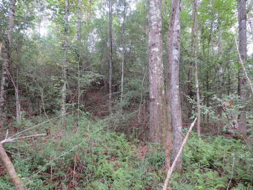 87C05384-B922-4433-8EBE-86B7795690EA