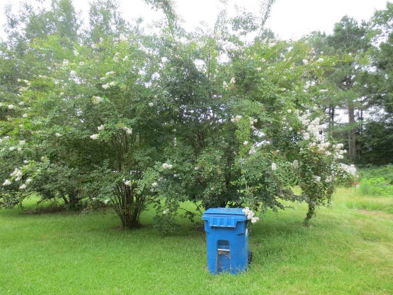 8376DED6-1DC1-4238-9FC2-D6A02E83AE5F