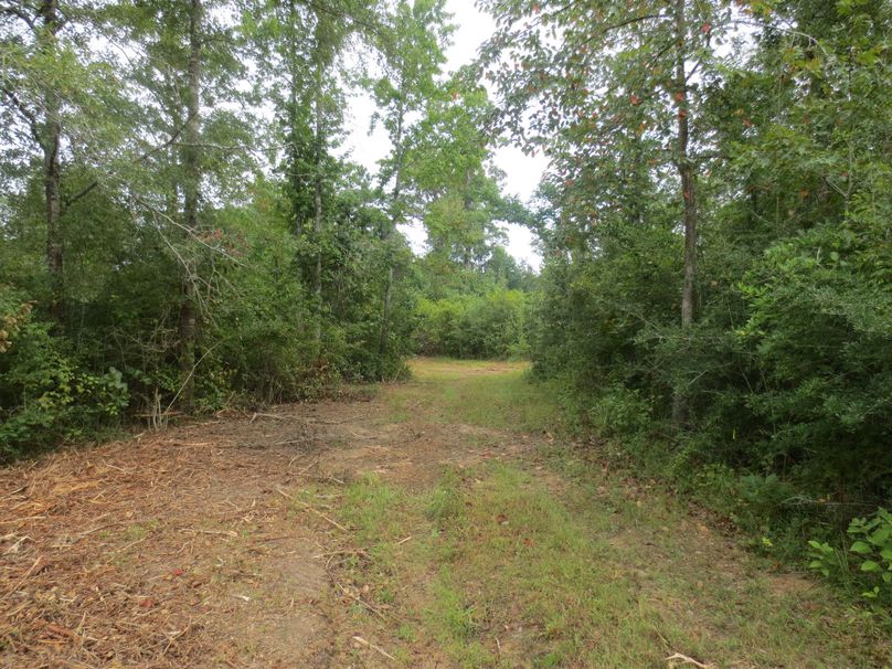 499ECD0E-7B6C-4A76-9DA6-AD2F8AF8AEAA