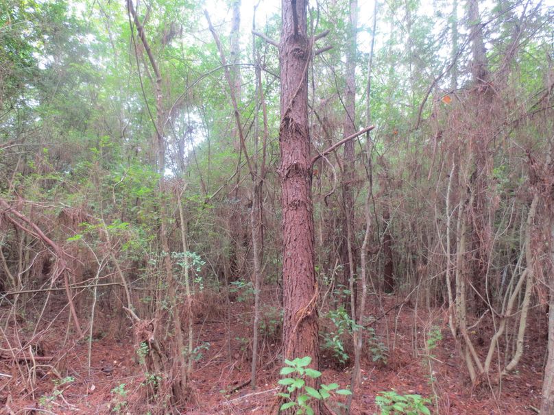 F8017F24-ED2B-421E-8C57-49C64DBAA6AC