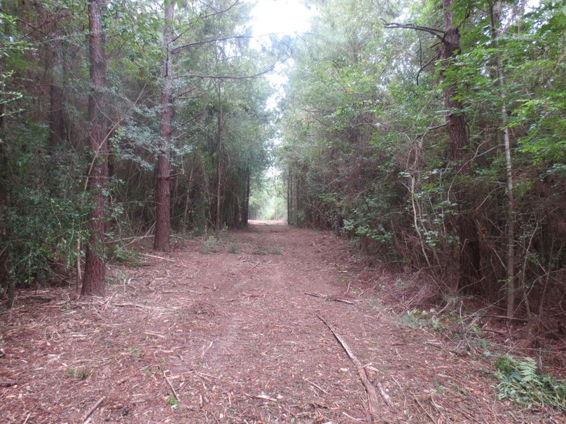 7013E300-67DC-4CEA-AC7E-EBA9C5D7BEBE