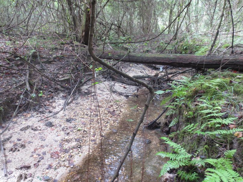 F0E02F19-A651-436C-8EC6-3EF0BA74C745