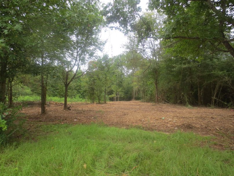 2EE8DFED-F512-409F-8A29-D73D87A23C73