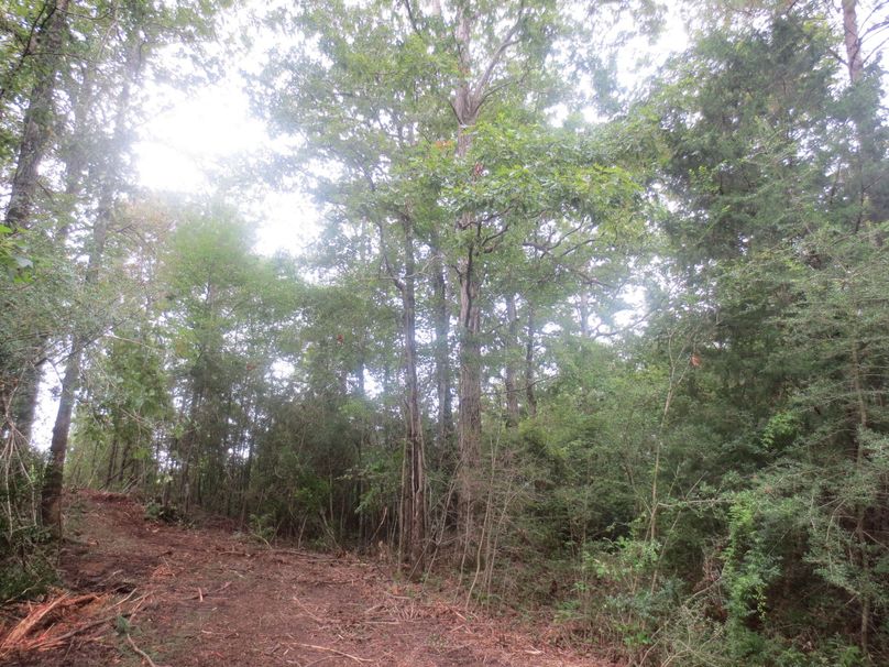 6167DFDF-B14F-4D1E-B872-6CBCE87368CF