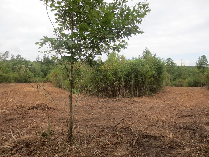 18D073C6-A0F3-4552-92EC-75E5CEBBF274