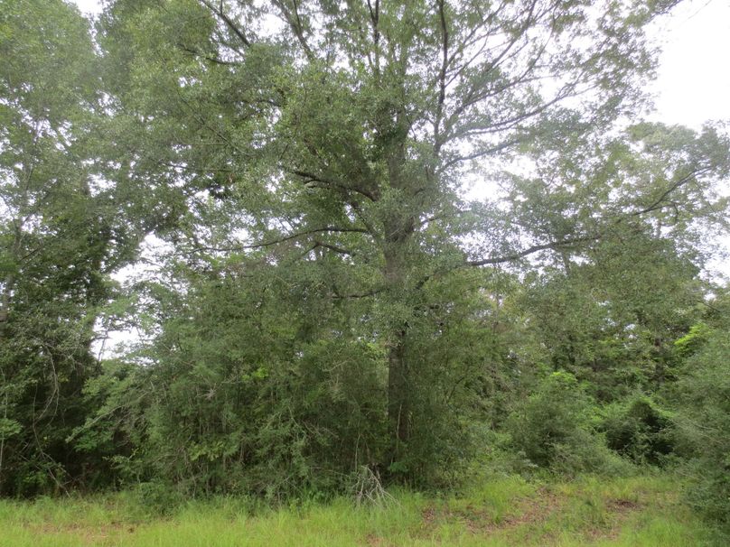 4E550FAB-AD5D-4F4A-B6DF-399873DD6D8A