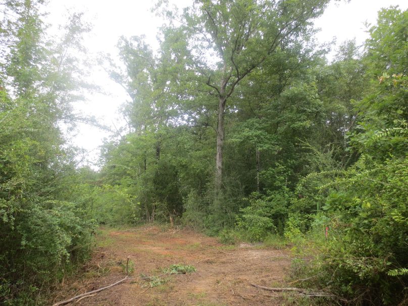 1124D506-CB9D-447E-A295-39347187D44D