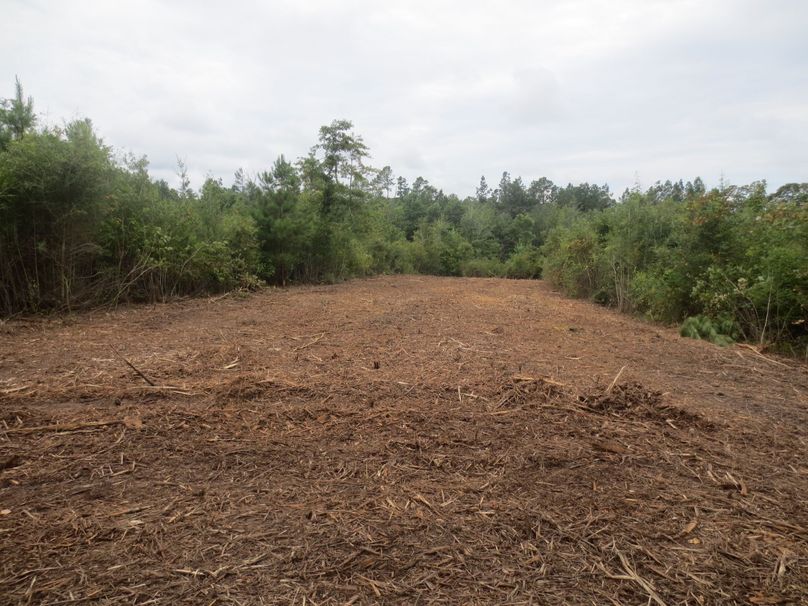 3CD3E003-0ED5-444A-AC37-D213A8DF343B