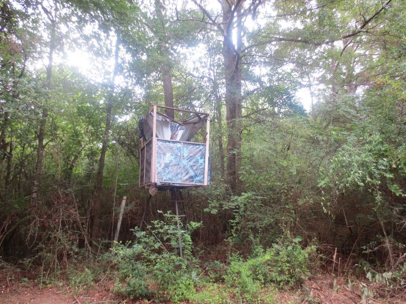 66786E91-B1E5-4099-BB94-6A29FC5C4B22