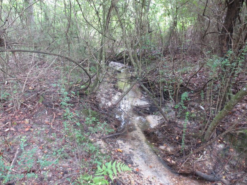 FF843CAF-49E3-4247-AE30-6B4EAA586E0B