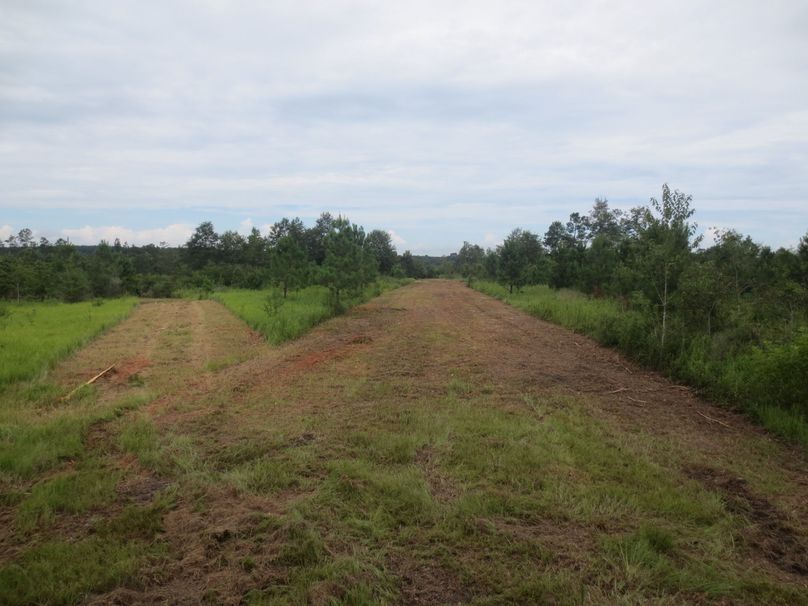 B2F2488C-FB94-420C-B842-318734185FCB