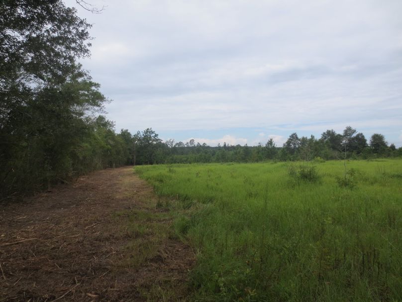 E35034DC-9D82-4C98-B114-F38DCDE14005