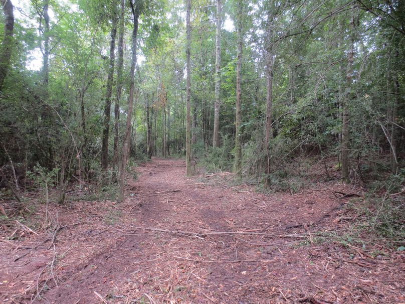 771D525D-4E2E-45EC-86F7-F6392038B43F