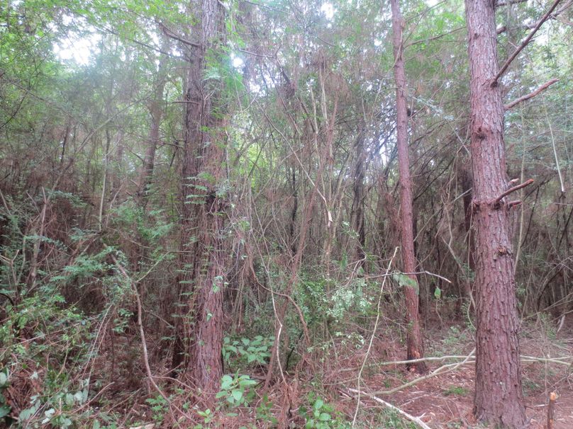 97C8C91D-93C8-4CC4-9518-337900EA5790