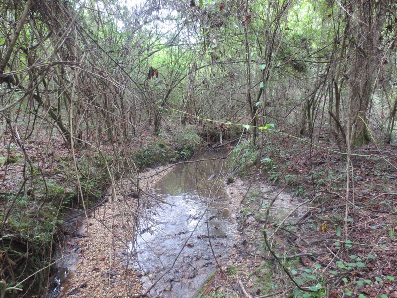 3CB03C0F-10EA-4AFA-A296-4AFE4A6D2424