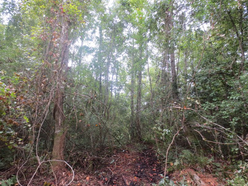 8BCC74C0-A4E9-475C-BCD2-650B97574714