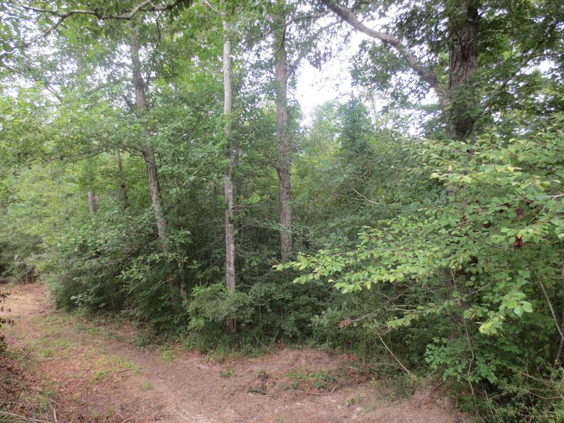 E14CB148-CCA9-4B3E-B31A-6C669A695544