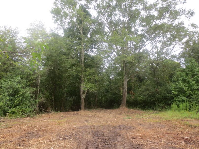 D9056E36-7B8B-462D-AE5F-D5940736B716