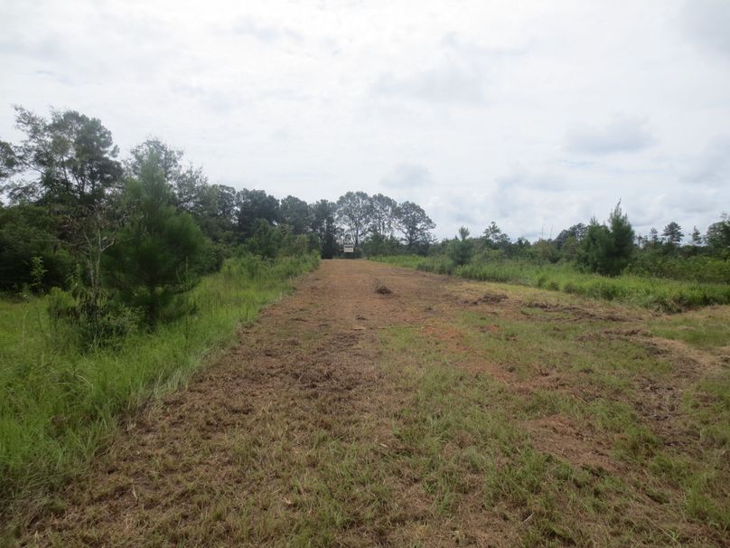 84F78FA0-0400-4748-8671-2CC20DA0081F