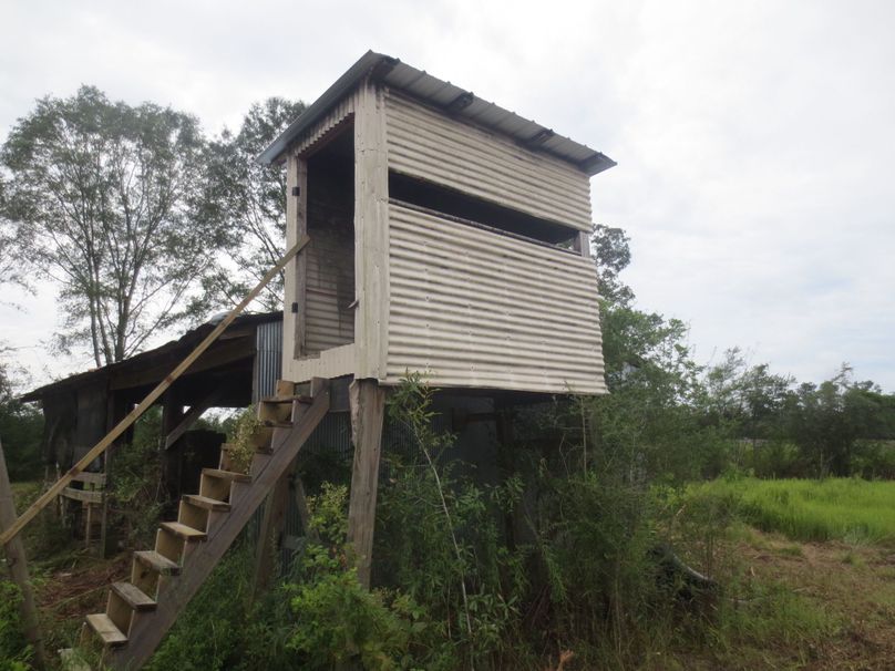 60423DCA-577C-4549-9997-C66437BBD7C3