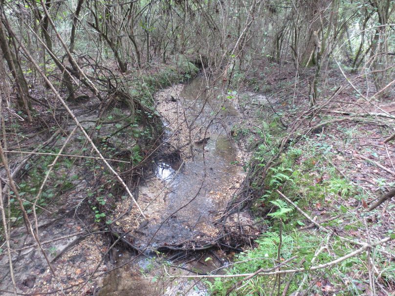 4ED6AAC9-61E0-408F-9503-B35475833B7E