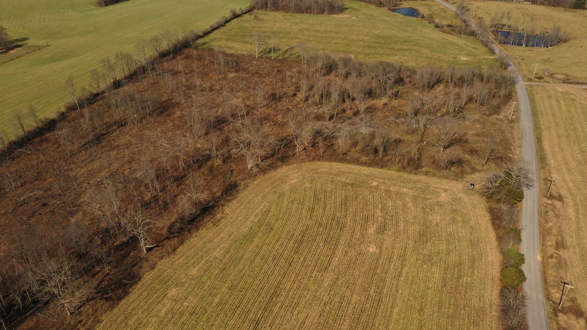Mini Farm With Homesite Near Ider And Henagar Whitetail Properties