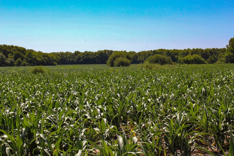 Ottawa, KS, 159.4_025