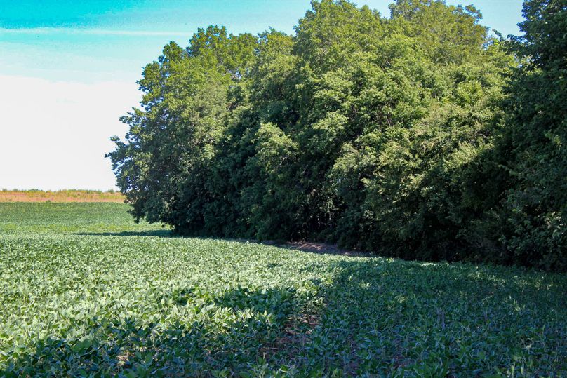 Ottawa, KS, 159.4_018