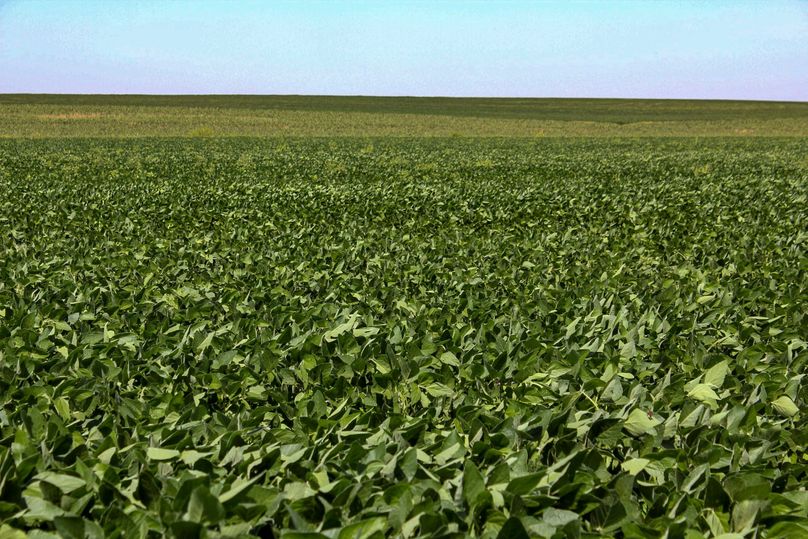 Ottawa, KS, 159.4_005