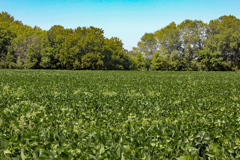 Ottawa, KS, 159.4_002