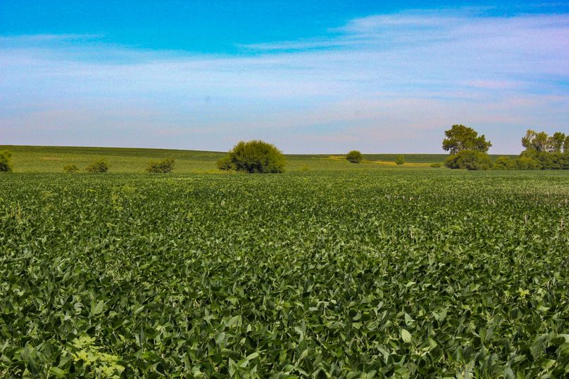 Ottawa, KS, 159.4_020