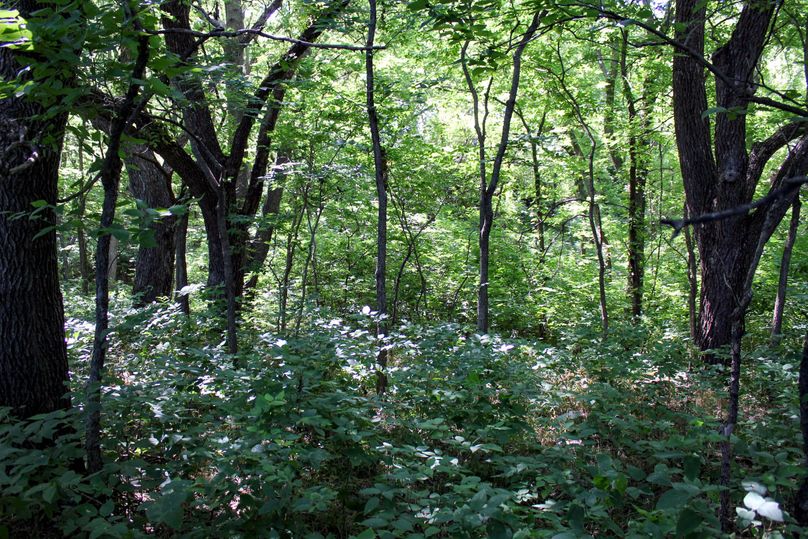 Ottawa, KS, 159.4_021