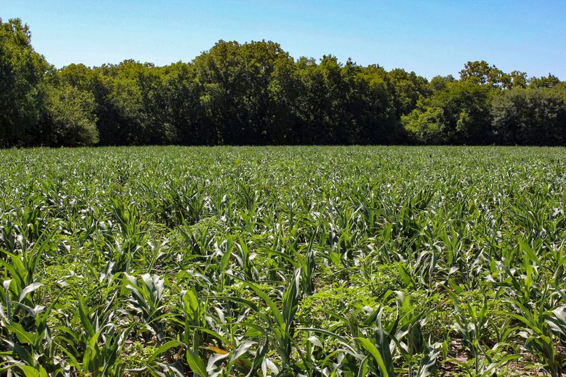 Ottawa, KS, 159.4_024