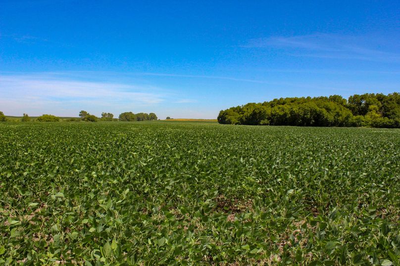 Ottawa, KS, 159.4_004