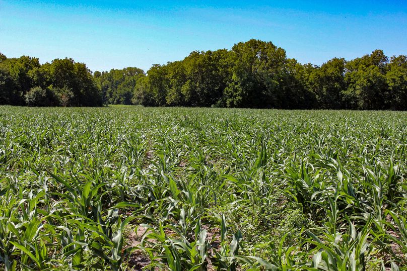 Ottawa, KS, 159.4_023