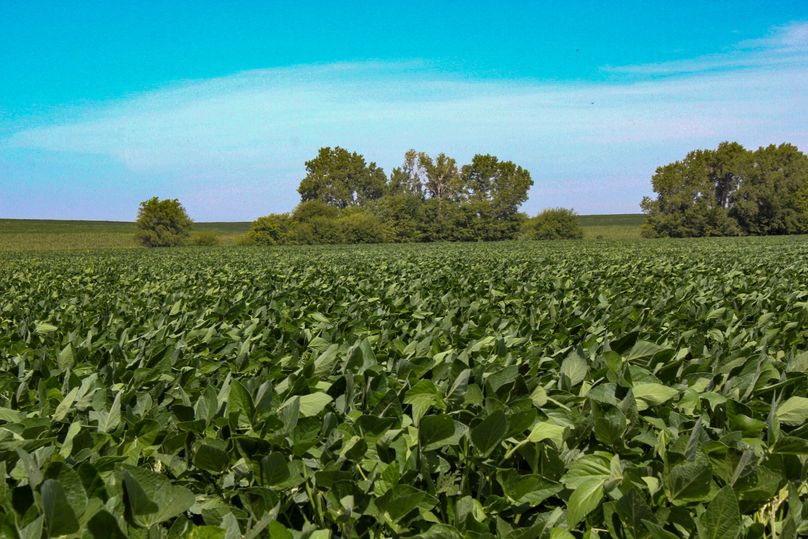 Ottawa, KS, 159.4_019