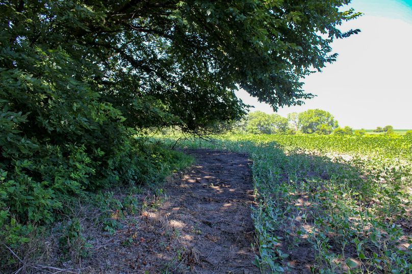 Ottawa, KS, 159.4_022