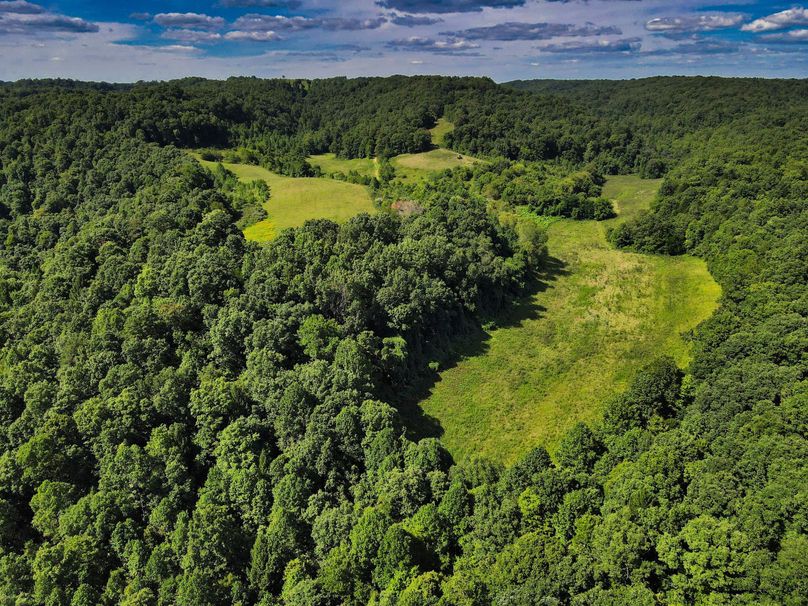 017 gorgeous aerial drone shot looking up the valley from above Horse Lick Creek