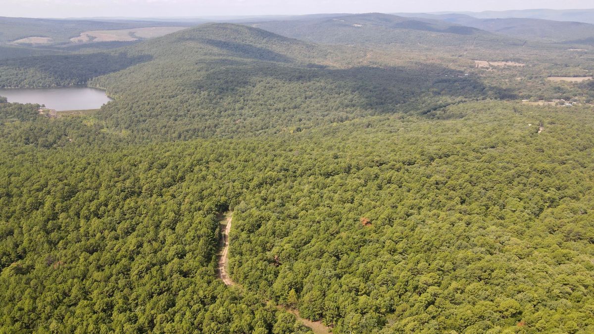 Mountain Getaway Near Sardis Lake Whitetail Properties