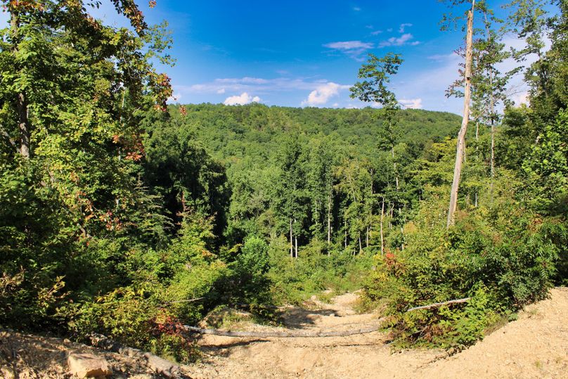 019 nice trail system leading down into the valley