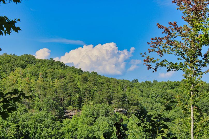 009 jaw dropping views of the DB National Forest across the valley