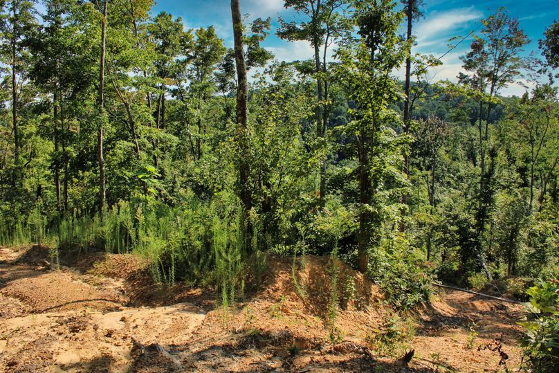 008 good internal trail system