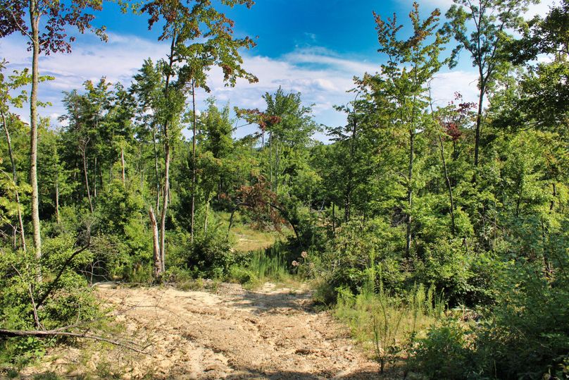 018 nice flat area down in the valley