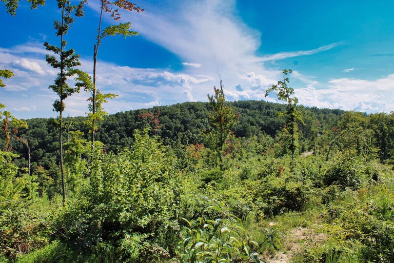 011 gorgeous summer day views