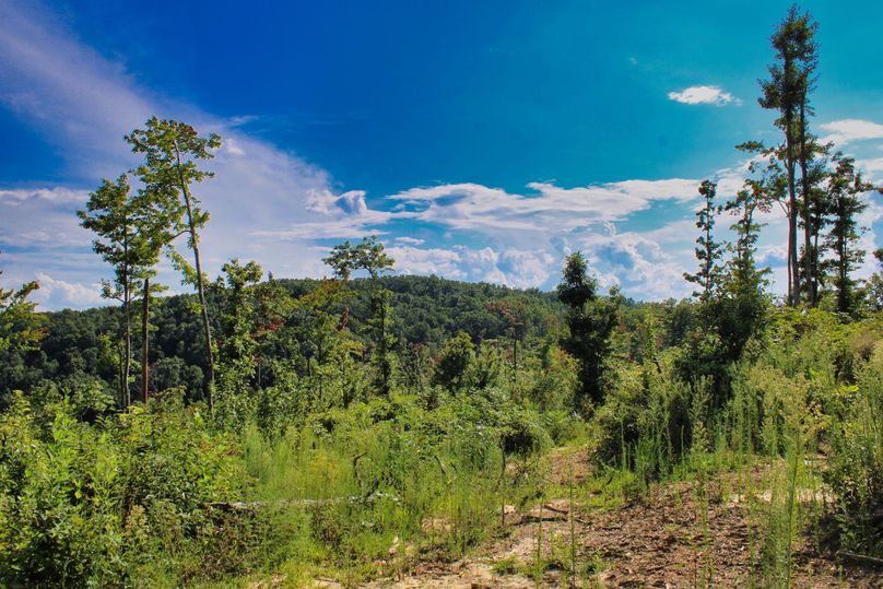 003 beautiful view from 1 of the 2 buildable pads