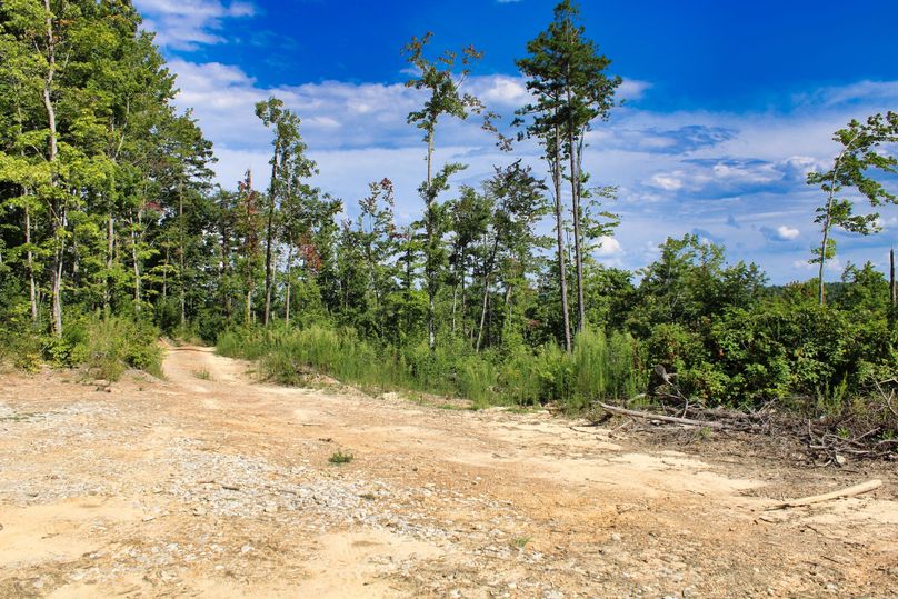 015 nice view from the first pad heading down into the valley