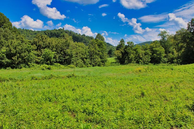 007 nice view looking NE over the field