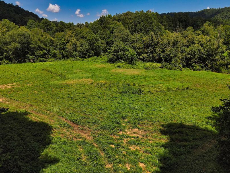 009 elevated view looking NW over the field towards the river