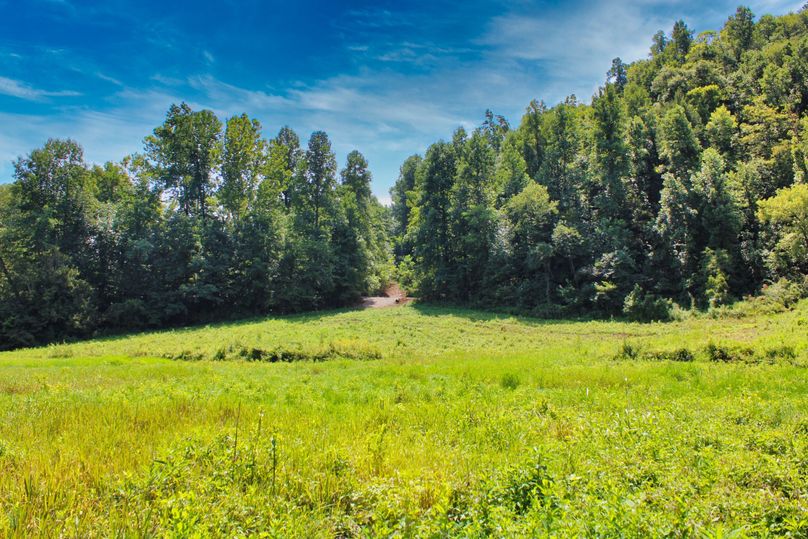 014 beautiful sight looking SE towards the gravel entrance