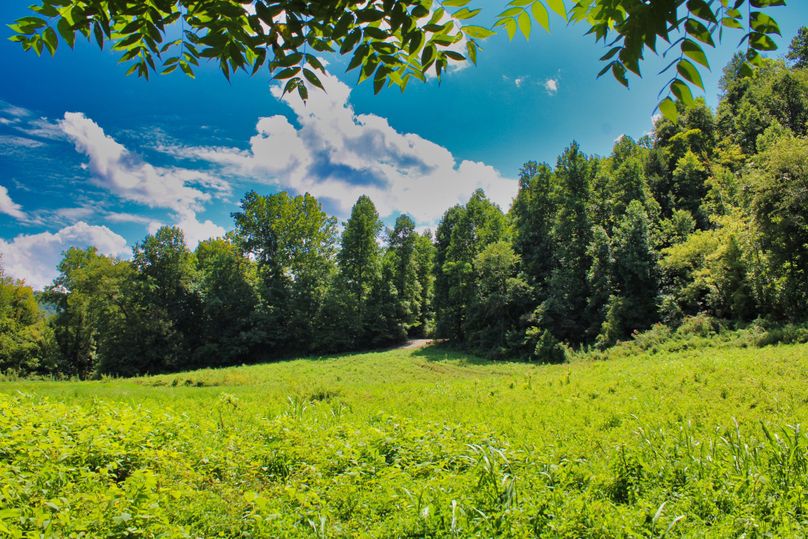 018 peaceful view coming out of the river banks